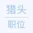 某国内机械/设备公司