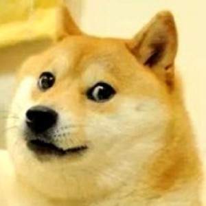 湫