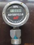 供应傲龙牌数字压力表(图)ASY100