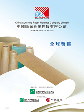 投资者服务 - 世纪阳光纸业集团