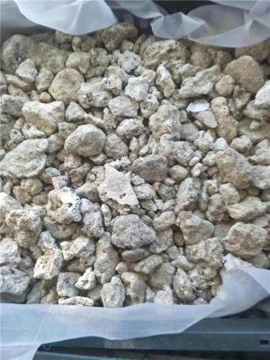 琼海羊宝专业鉴定