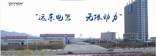 远东电器集团有限公司